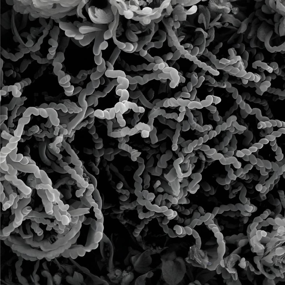 碳纳米管的存储常见问题有哪些？