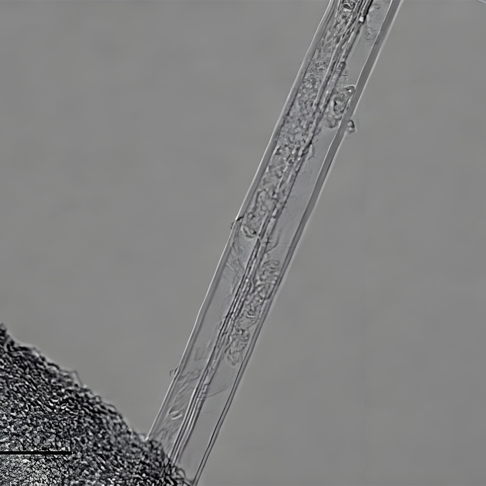 单壁碳纳米管的特性与用途