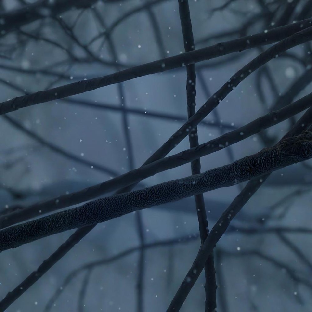 单壁碳纳米管的存储环境要求有哪些？