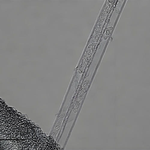 单壁碳纳米管的使用注意事项